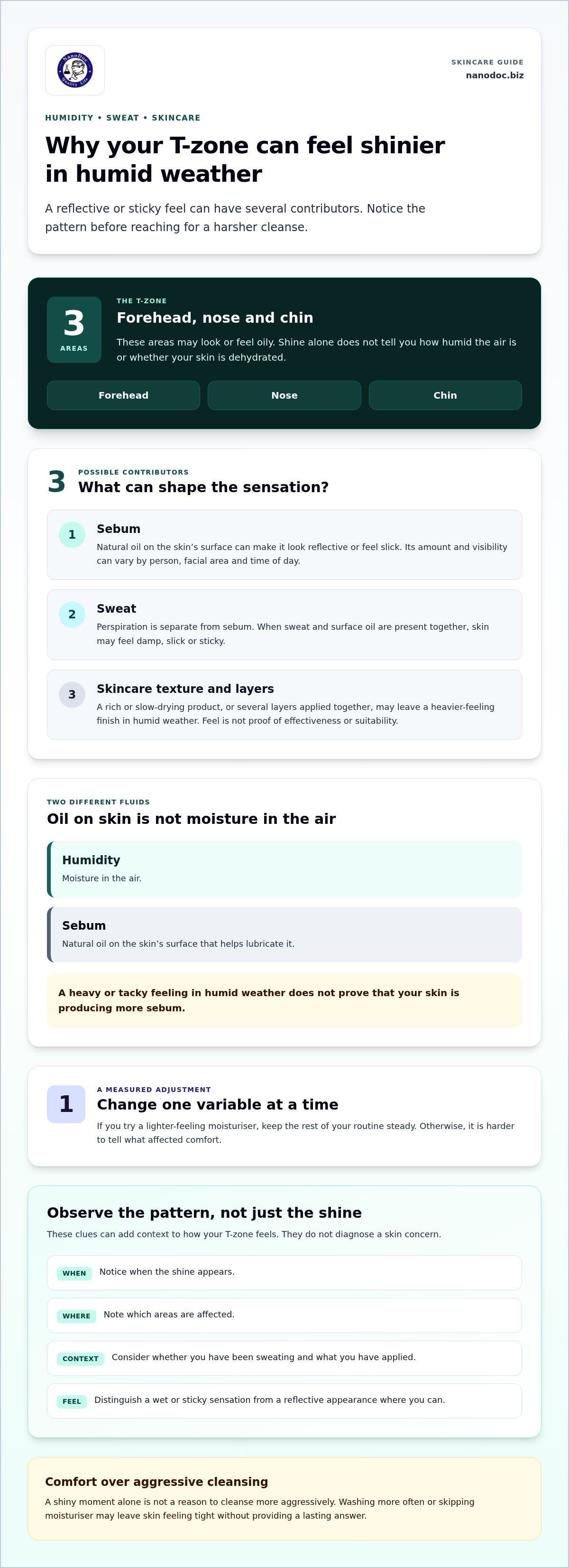 How to Control an Oily T-Zone in Humidity: A Practical Skincare Guide — infographic