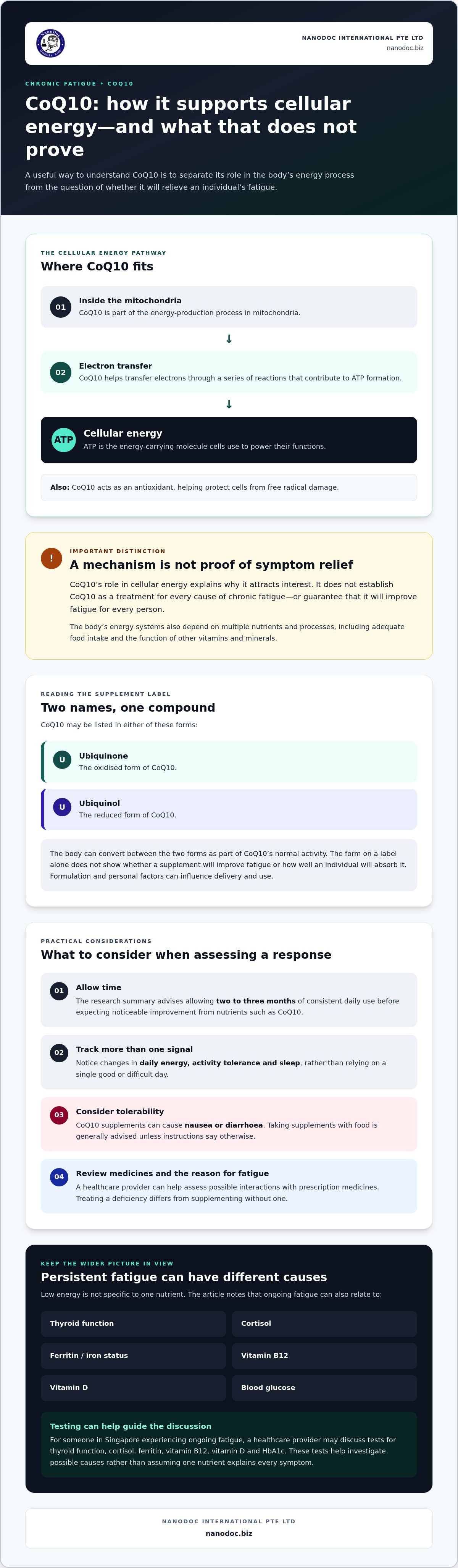 Supplements for Chronic Fatigue: Which Nutrients May Help — infographic